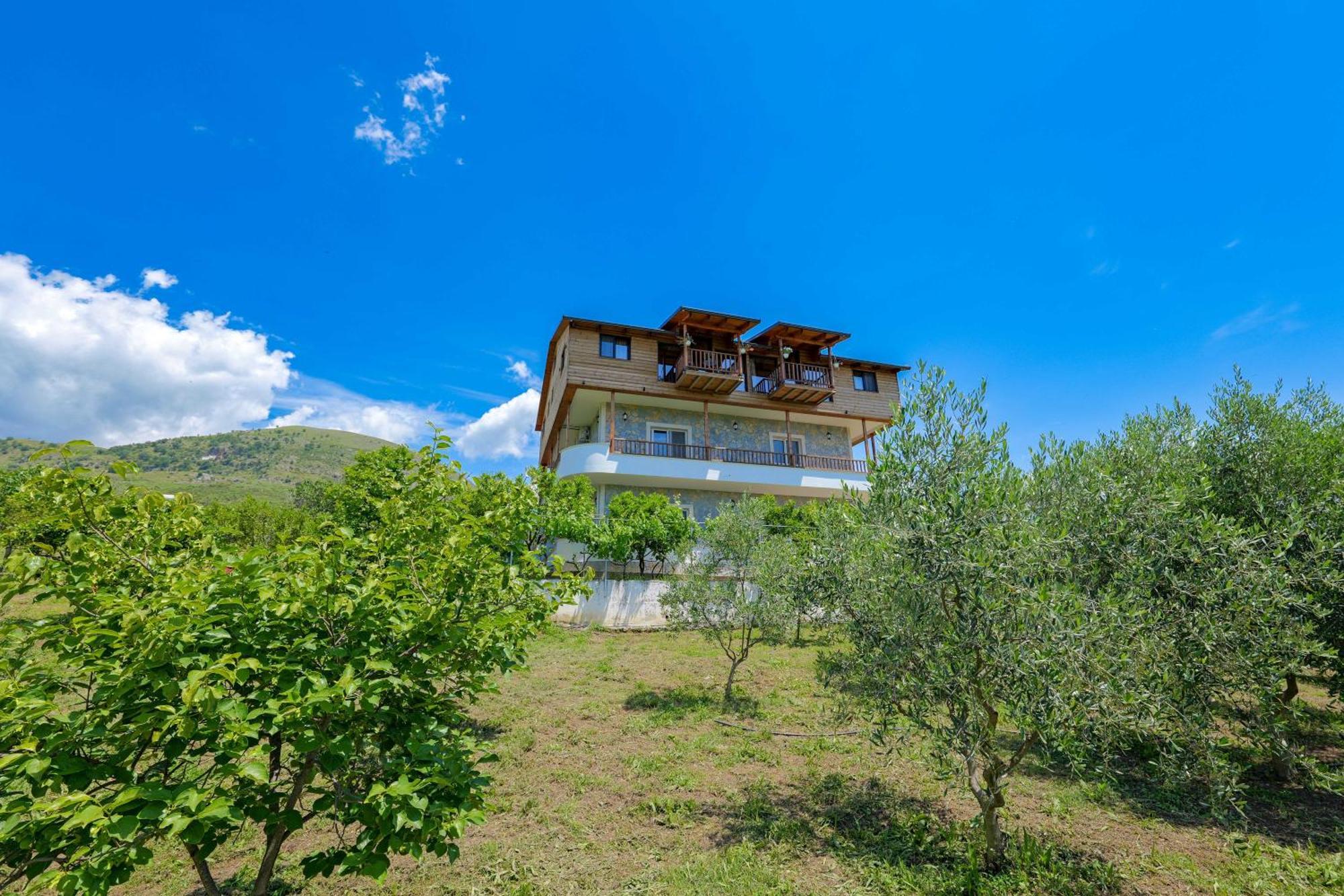 Hotel Shena The Farm Boutique à Mesopotam Extérieur photo